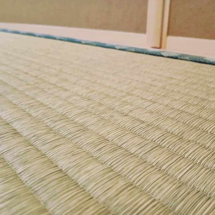 画像243